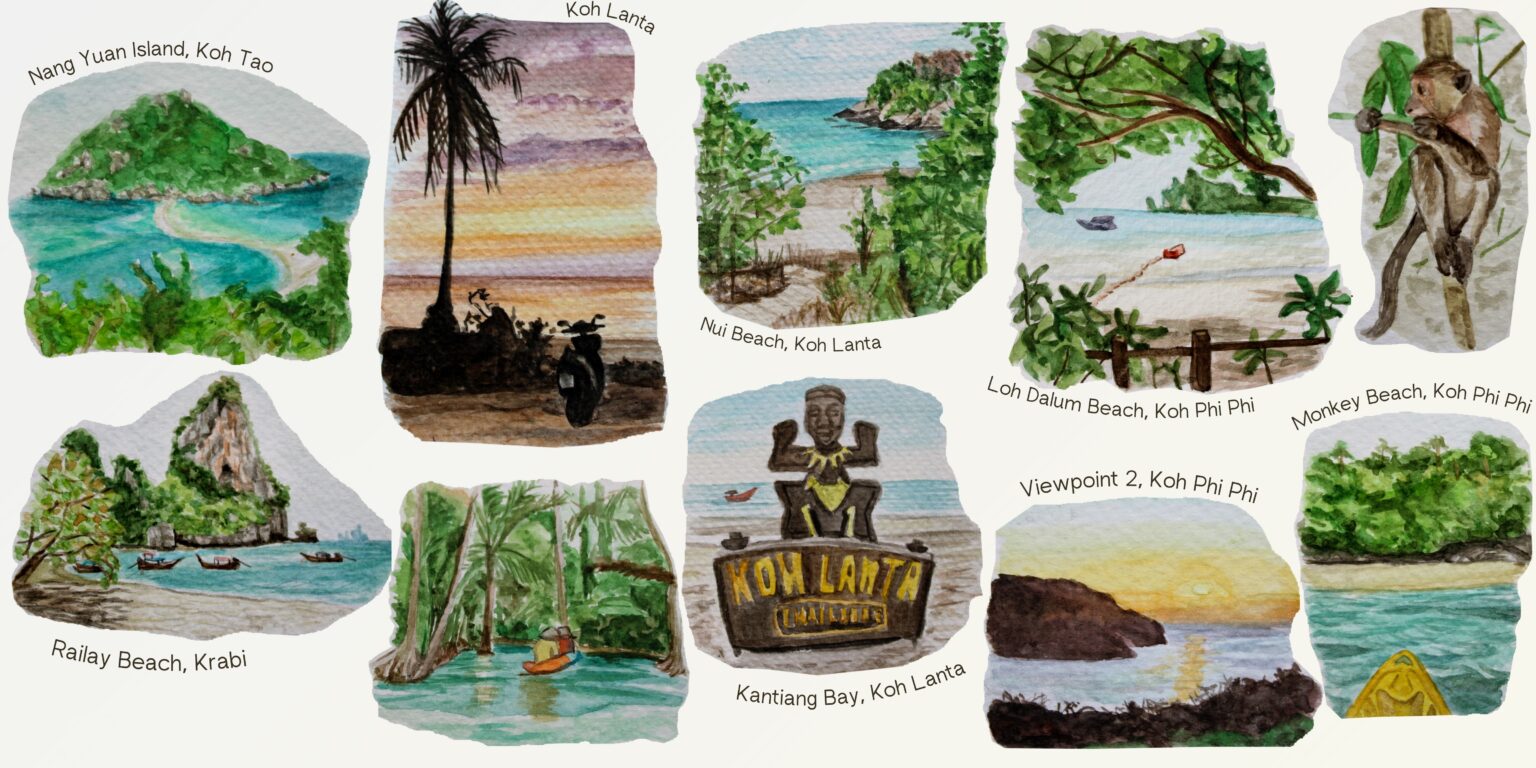 De l'île Koh Tao, à la province de Krabi, en passant par les îles Koh Lanta et Koh Phi Phi
